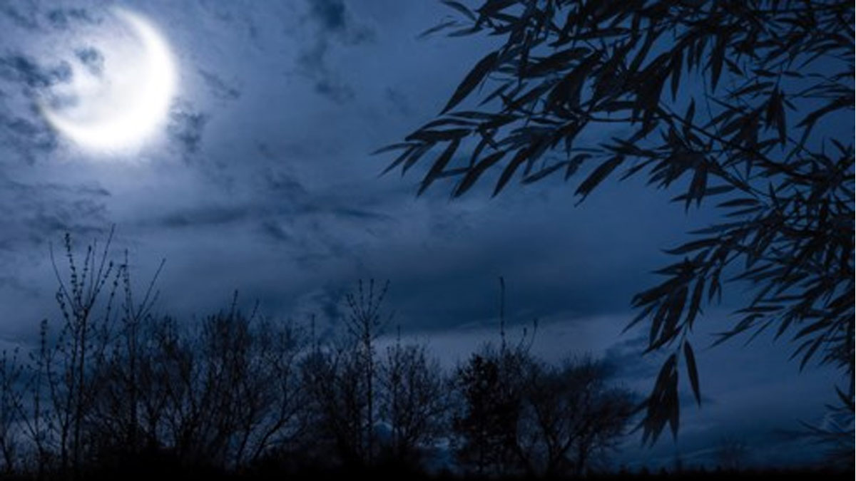 Winter Solstice Celebration at Hastings Lake Forest Preserve